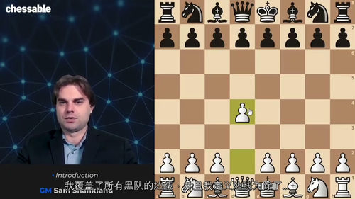 [中字] 国际象棋 1.d4 开局体系 第二部分 - GM