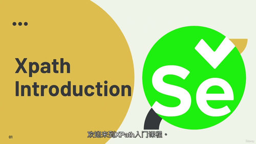 Selenium XPath 进阶教程