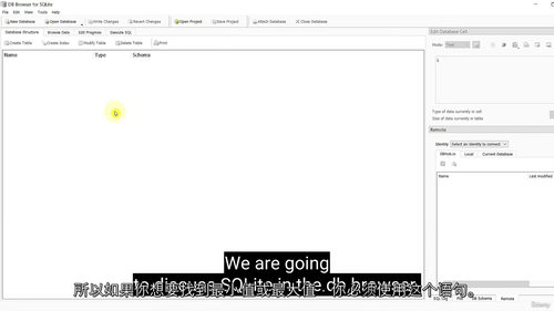 [中字]精通 SQLite 数据库实战课程（中文字幕英文视频