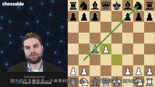 [中字] 国际象棋 1.d4 开局体系 第三部分 - GM