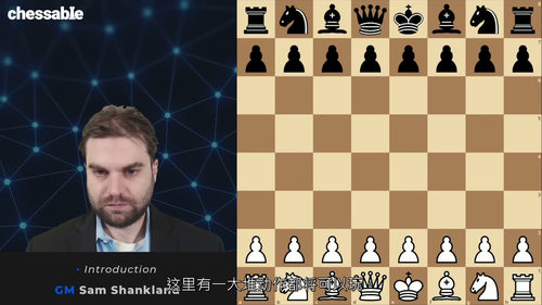 [中字] 国际象棋 1.d4 开局体系 第三部分 - GM