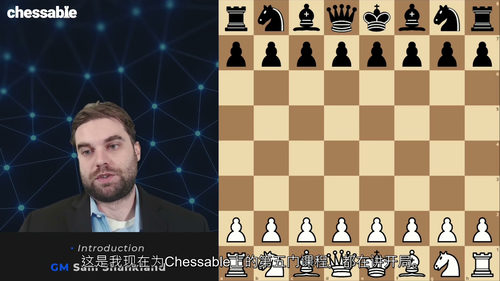 [中字] 国际象棋 1.d4 开局体系 第三部分 - GM