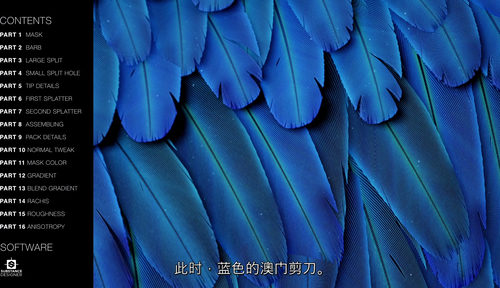 [中字] 羽毛创作课程 罗曼・勒梅尔（中文字幕英文视频教程）