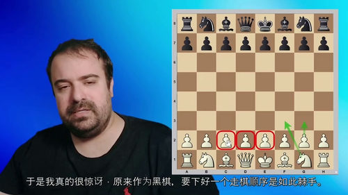 [中字] 国际象棋的古印度进攻 —— 罗曼・爱德华特级大师课