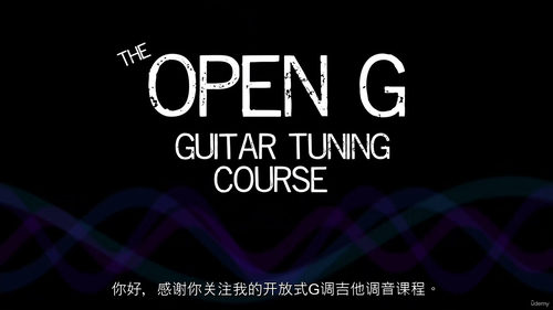 [中字] Open G 吉他调弦与 101 首布鲁斯连复段课