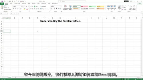 [中字] Microsoft Excel 商务与财务数据分析