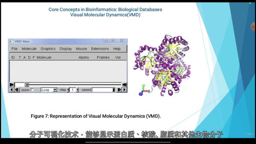 [中字]生物信息学高级文凭课程（含实习项目）（中文字幕英文视