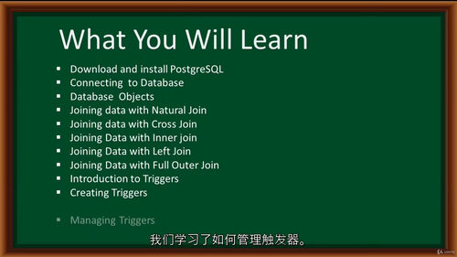 [中字]PostgreSQL 数据连接与触发器应用实战（中文