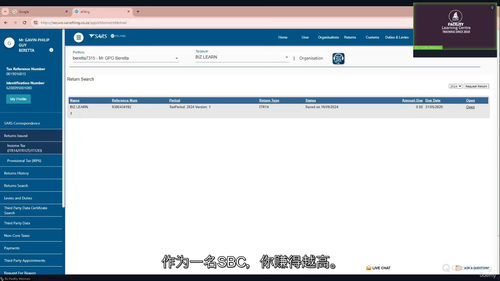 [中字] 公司税务：电子申报系统提交 IT14 申报表实操课