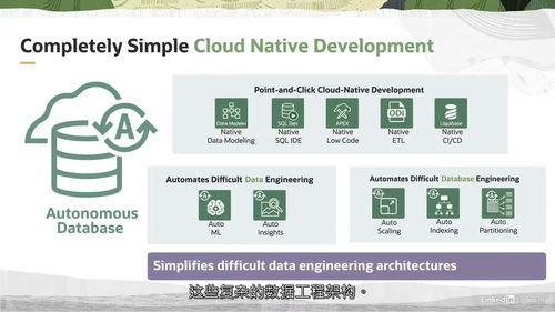 [中字]Oracle 云基础设施数据平台基础课程课程（中文字