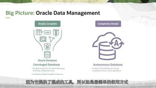 [中字]Oracle 云基础设施数据平台基础课程课程（中文字