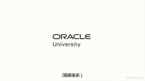 [中字]Oracle 云基础设施数据平台基础课程课程（中文字