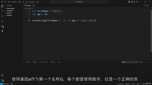 [中字]全栈 JavaScript 开发实战：现代 Java