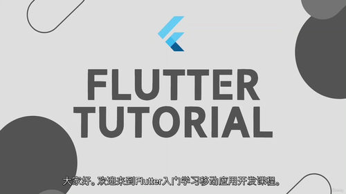 [中字]Flutter 精通实战：全链路 App 开发指南（