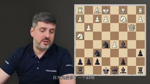 国际象棋局面型打法系统