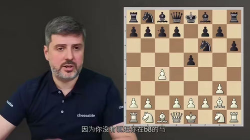 国际象棋局面型打法系统