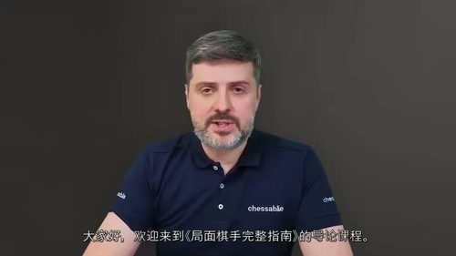 国际象棋局面型打法系统