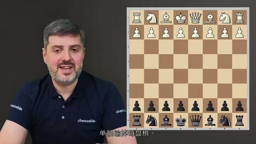 国际象棋局面型打法系统