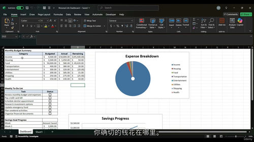 [中字] 实用 Excel 实战指南：从入门到生活数据管理高