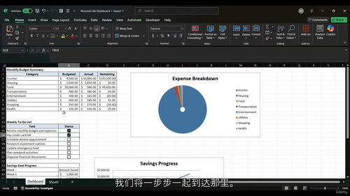 [中字] 实用 Excel 实战指南：从入门到生活数据管理高