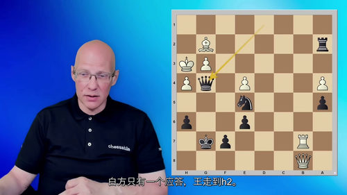 [中字] 国际象棋将杀模式手册课程（中文字幕英文视频教程）