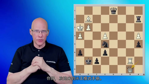 [中字] 国际象棋将杀模式手册课程（中文字幕英文视频教程）