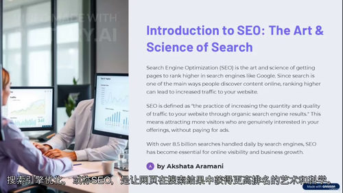[中字] SEO 实战精通：轻松提升网站流量（中文字幕英文视