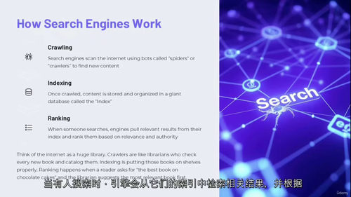 [中字] SEO 实战精通：轻松提升网站流量（中文字幕英文视