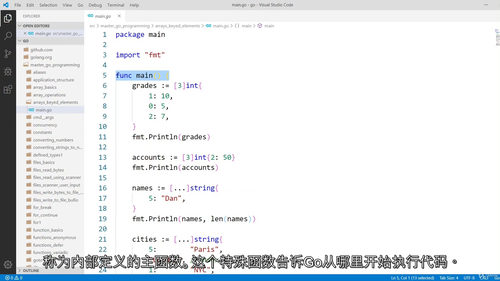 [中字] Go（Golang）编程实战：从入门到精通全课程（