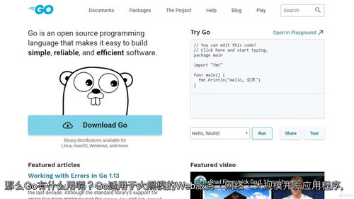 [中字] Go（Golang）编程实战：从入门到精通全课程（