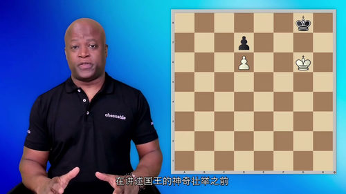 [中字]杀手之王：国际象棋中作为战斗棋子的国王（中文字幕英文