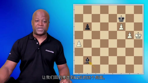 [中字]杀手之王：国际象棋中作为战斗棋子的国王（中文字幕英文