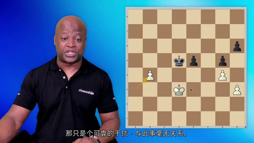 [中字]杀手之王：国际象棋中作为战斗棋子的国王（中文字幕英文