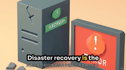 灾难恢复认证：战略、测试与合规（中文字幕英文视频教程）
