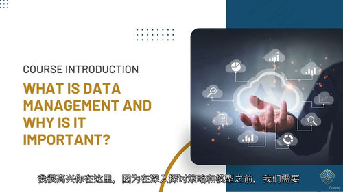 [中字]数据管理与战略：基于 DAMA 框架的实践指南（中文