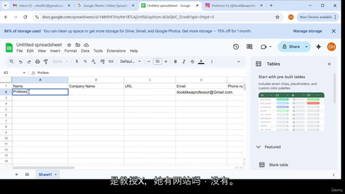 [中字] 虚拟助理数据录入与在线研究实战课程（中文字幕英文视