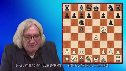 蒂姆曼的国际象棋巨擘  (中文字幕英文视频教程)