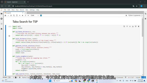 [中字] Python 元启发式与启发式优化实战课程（中文字