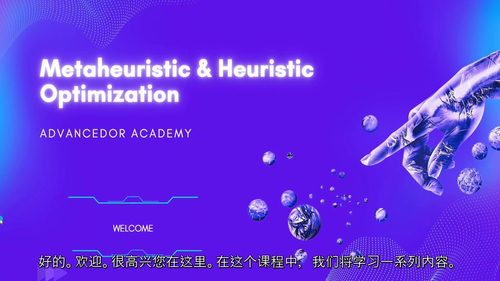 [中字] Python 元启发式与启发式优化实战课程（中文字