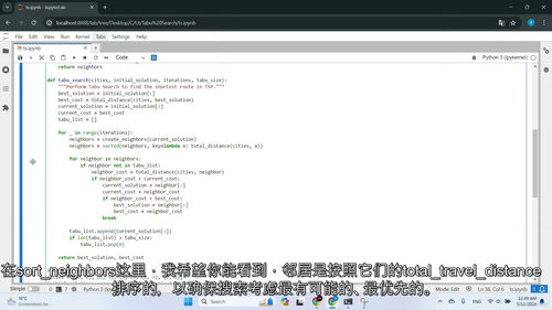 [中字] Python 元启发式与启发式优化实战课程（中文字
