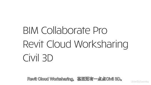 BIM Collaborate Pro