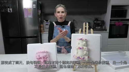 框架蛋糕课程——艺术蛋糕设计 (中文字幕英文视频教程)