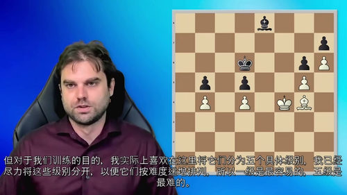 [中字] 尚克林方法：国际象棋战略计算（中文字幕英文视频教程
