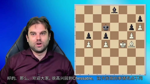 [中字] 尚克林方法：国际象棋战略计算（中文字幕英文视频教程
