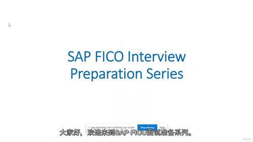 [中字] SAP FICO面试准备课程 —— 面向新手和初学