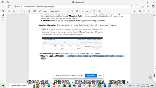[中字] SAP FICO面试准备课程 —— 面向新手和初学