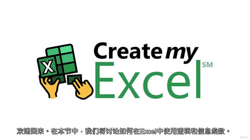 [中字] Excel 逻辑与信息函数深度解析（中文字幕英文视