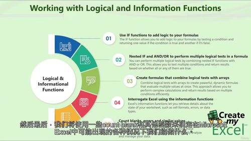 [中字] Excel 逻辑与信息函数深度解析（中文字幕英文视