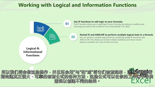[中字] Excel 逻辑与信息函数深度解析（中文字幕英文视