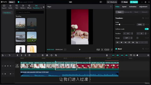 [中字] Capcut精通：打造吸睛社交媒体视频（中文字幕英